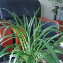 새순농장 이미지