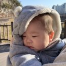 조수영소아청소년과의원 이미지