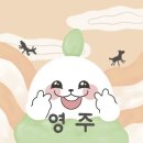 영주카써비스 네이버블로그