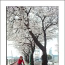 고기서 봐 이미지