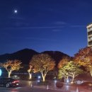 소노문 단양 1층 이미지