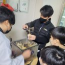 Only원태권도 이미지