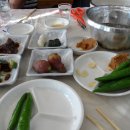 무안세발낙지 이미지