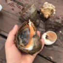 써니의 펜션 스토리 이미지