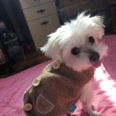 수목원동물병원 이미지