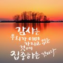 캘리그래피 브런치