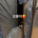 스테이온빈 이미지