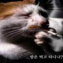 에이미네일 - 금천구 벚꽃로 278 | 에이미네일