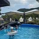 캠프닉아일랜드 | 부산근교 아이랑 울산글램핑 계곡 가까운 캠프닉아일랜드 에어컨O