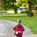 주정차44 이미지