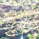 웅진오토캠핑장 | 공주 가볼만한곳 공주 왕도심 2코스 황새바위순교성지/공주한옥마을/국립공주박물관
