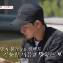 보민