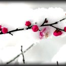 관음사 가는길 이미지