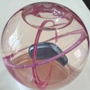 오티콘보청기부천점 | 우리 할머니를 위한 특별한 선물, 오티콘보청기 부천점 후기