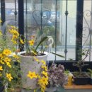 벌교원동 이미지