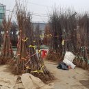 탑리목장 이미지