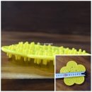 플라워&홈가드닝 이미지