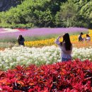 동해시-3 이미지