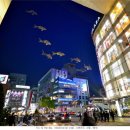 달성 대구현대미술제 이미지