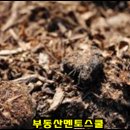 농심퇴비 이미지