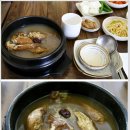 진품참옻닭