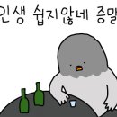 (주)에이와이 이미지