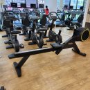 라임헬스 앤 피티 이미지