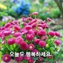 윤태화 조사하면 다 나온다 &amp;뉴스브리핑 이미지