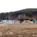 금지면 금평마을 이미지