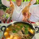 만물농장 이미지