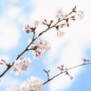 꽃길 - 이천시 사실로 1007 | 꽃길
