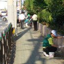 감전초등학교 이미지