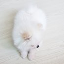 한빛덴탈 이미지