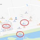 염치읍 은행나무길 이미지