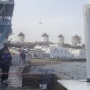 리틀미코노스6 이미지