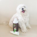 주식회사 보광축산약품 | 저자극 탈취 애견샴푸추천 프레쉬웨이브