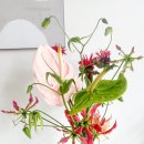 영화꽃화원 이미지