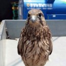 청양농협남양지점 이미지