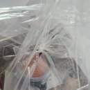 제주대패집외도점 | 제주만족 외도점 배달 후기｜족발, 불족발, 냉채샐러드까지 완벽했던 제주 외도동 맛집