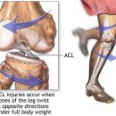 씨티재활의학과요양병원 이미지