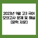 성산구 ⓕ-8 | [수능대비]2023년 9월 고3 국어 모의고사 문제 및 해설 [문학 지문]