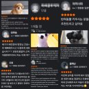 초록동물병원 | 역북동동물병원, 과잉진료를 피하는 2가지 방법 (실제 의료진의 조언)