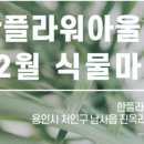 한플라워