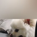 레이지키친 이미지