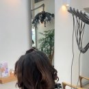 라플레르헤어 - 달서구 | 라플레르헤어