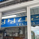 싱싱나라김밥