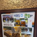 용인 | 🌿 숲속에서 만나는 건강 밥상, 박터진흥부네 – 용인 염소탕 후기