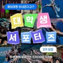 고고다이브