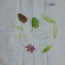 밥풀꽃마을 | 농촌체험추천,가족여행추천^^ 웰촌