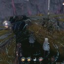 플레이필드 이미지